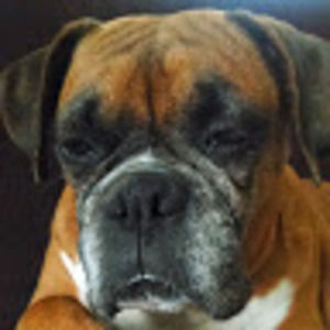 Meet your Posher, Linda